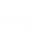 Engenheira Especialista (4)
